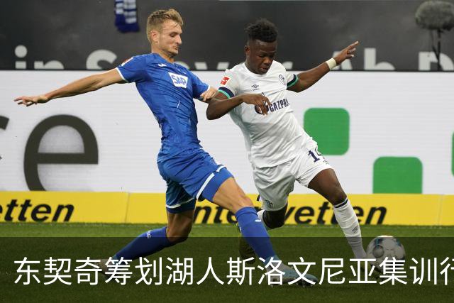 东契奇筹划湖人斯洛文尼亚集训行