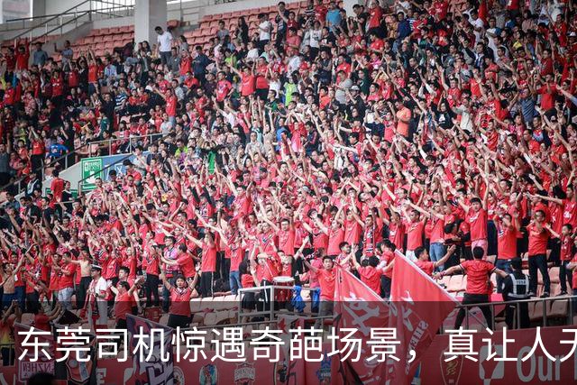 东莞司机惊遇奇葩场景，真让人无语！