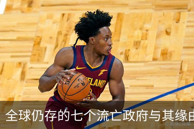 全球仍存的七个流亡政府与其缘由