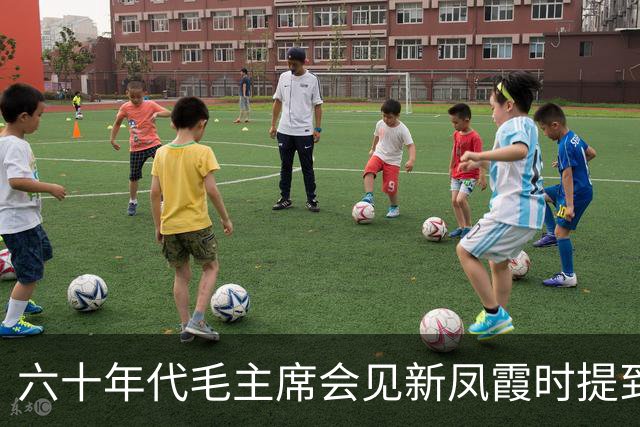 六十年代毛主席会见新凤霞时提到赵丽蓉