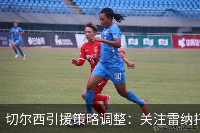 切尔西引援策略调整：关注雷纳托·桑切斯
