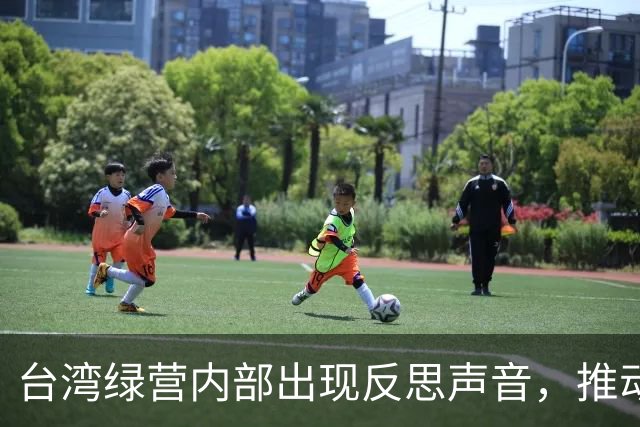 台湾绿营内部出现反思声音，推动两岸和平的可能性加大