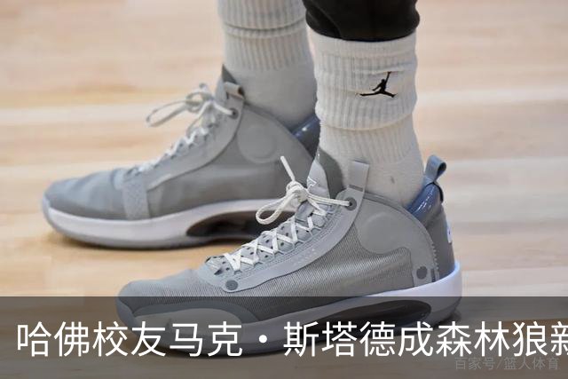 哈佛校友马克·斯塔德成森林狼新控股人