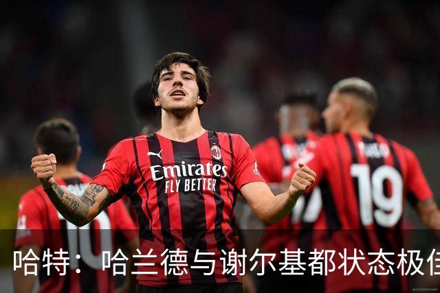 哈特：哈兰德与谢尔基都状态极佳