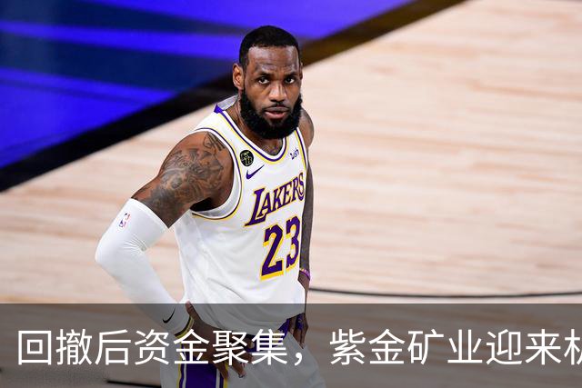 回撤后资金聚集，紫金矿业迎来机构密集布局