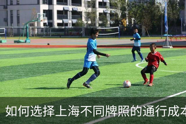 如何选择上海不同牌照的通行成本与资格