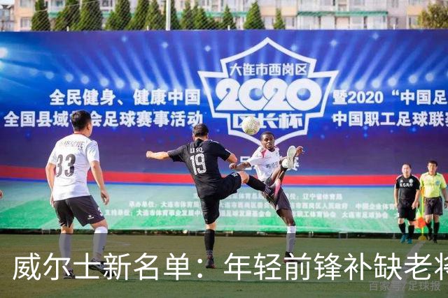威尔士新名单：年轻前锋补缺老将缺阵挑战
