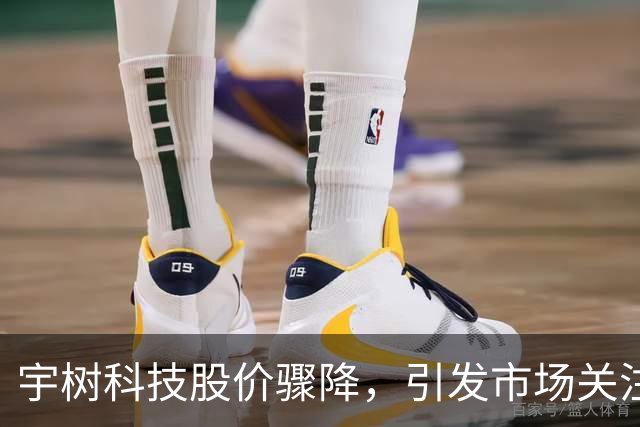宇树科技股价骤降，引发市场关注与质疑