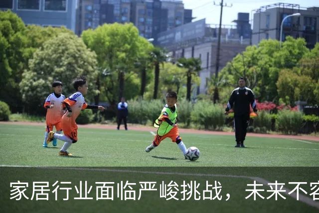 家居行业面临严峻挑战，未来不容乐观
