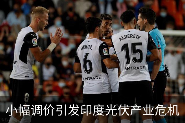 小幅调价引发印度光伏产业危机