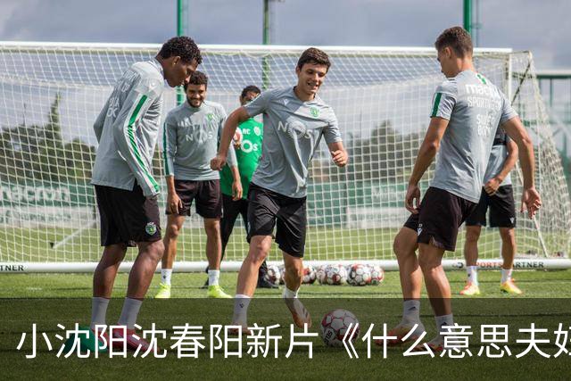 小沈阳沈春阳新片《什么意思夫妇》面临市场挑战