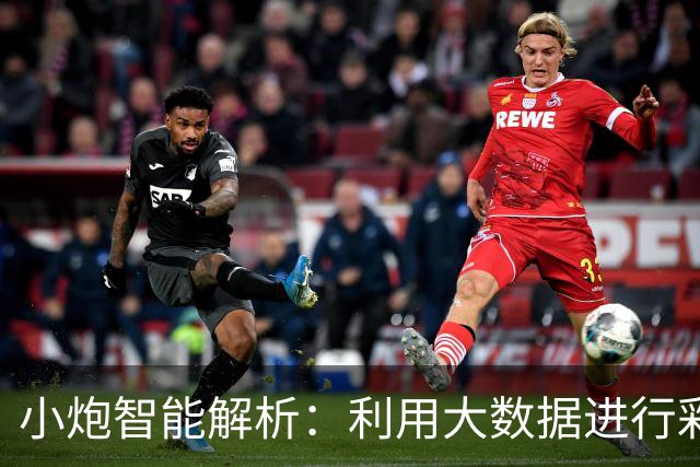 小炮智能解析：利用大数据进行彩票预测