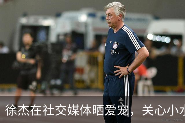 徐杰在社交媒体晒爱宠，关心小水水的情绪