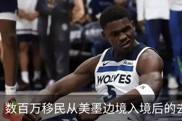 数百万移民从美墨边境入境后的去向分析