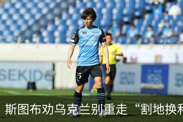 斯图布劝乌克兰别重走“割地换和平”老路