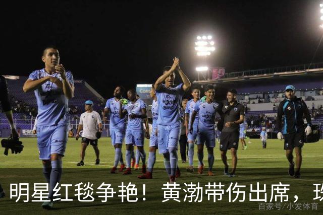 明星红毯争艳！黄渤带伤出席，珠宝光彩夺目