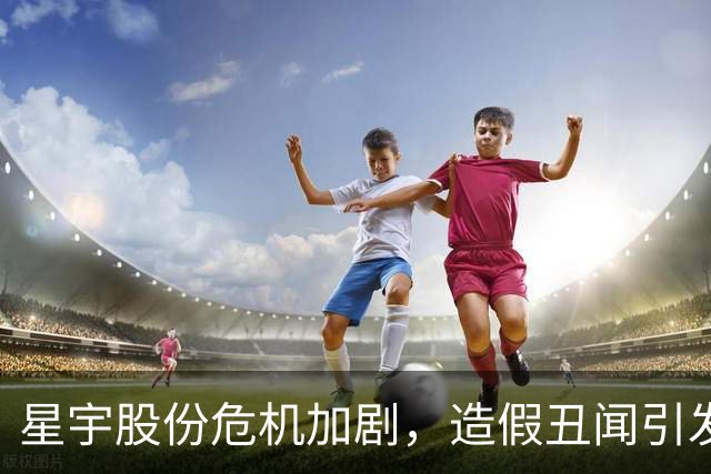 星宇股份危机加剧，造假丑闻引发公众愤怒