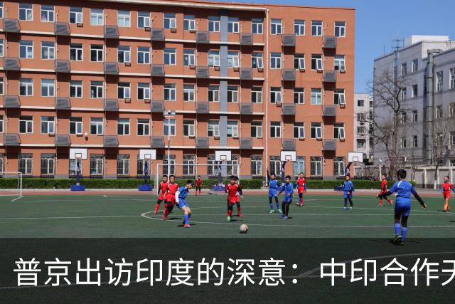 普京出访印度的深意：中印合作天差地别