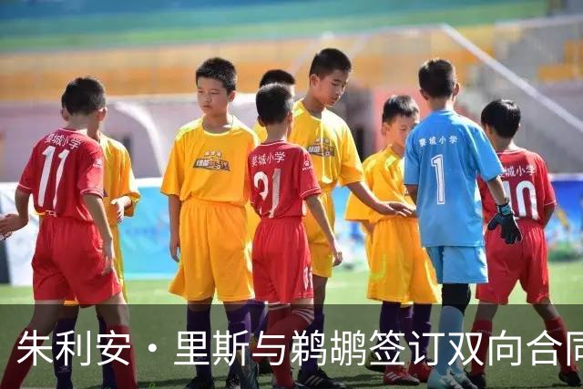朱利安·里斯与鹈鹕签订双向合同，兄妹携手共进