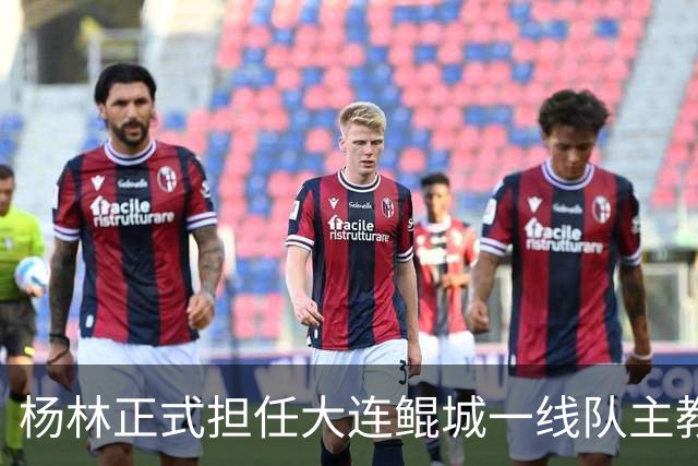 杨林正式担任大连鲲城一线队主教练