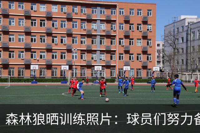 森林狼晒训练照片：球员们努力备战新赛季