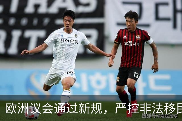 欧洲议会通过新规，严控非法移民潮流