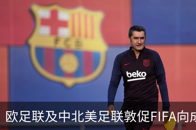 欧足联及中北美足联敦促FIFA向成员协会拨款
