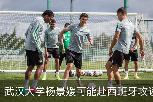 武汉大学杨景媛可能赴西班牙攻读博士，网友举报引关注