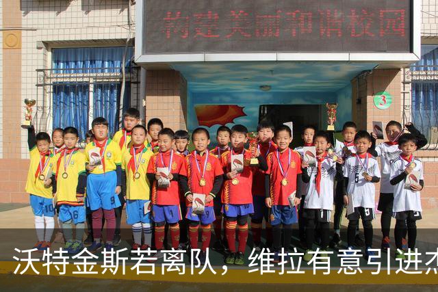 沃特金斯若离队，维拉有意引进杰克逊