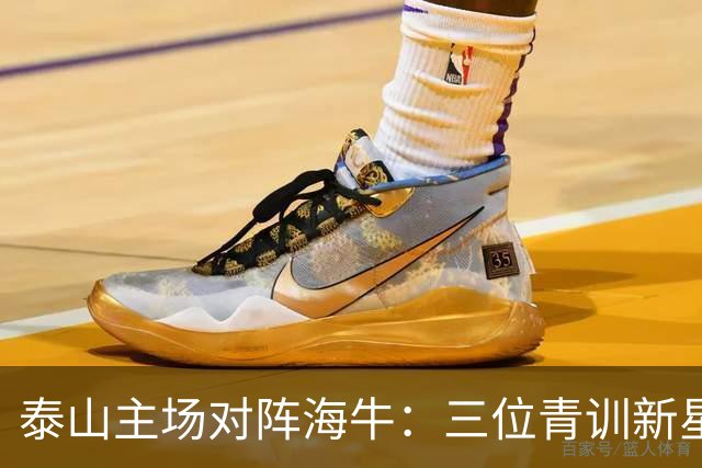 泰山主场对阵海牛：三位青训新星镇守后防