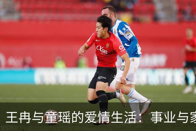 王冉与童瑶的爱情生活：事业与家庭的双重平衡