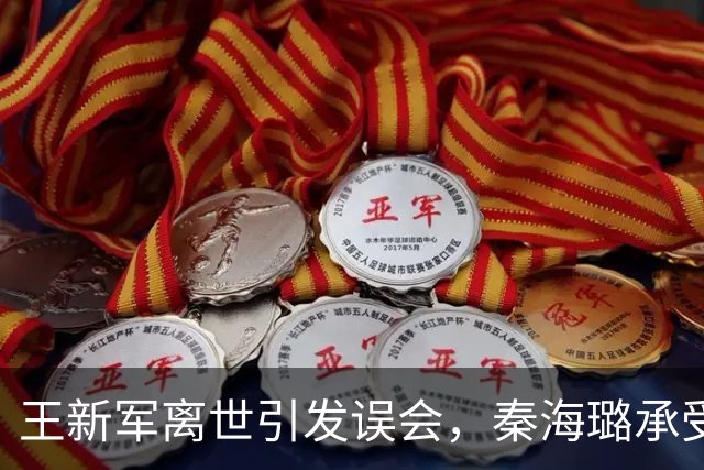 王新军离世引发误会，秦海璐承受不必要的困扰