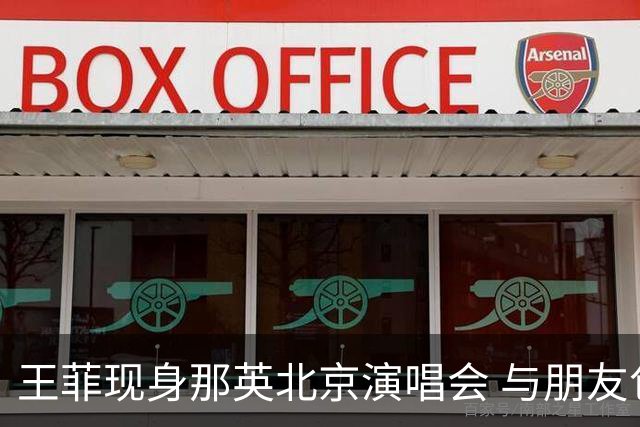 王菲现身那英北京演唱会 与朋友包厢热聊笑容灿烂