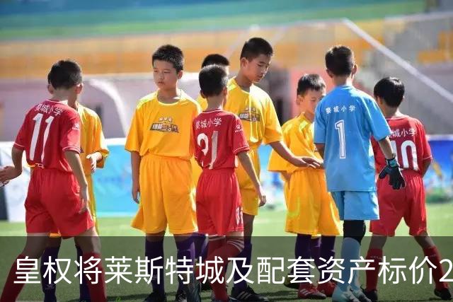 <皇权将莱斯特城及配套资产标价2.24亿英镑>