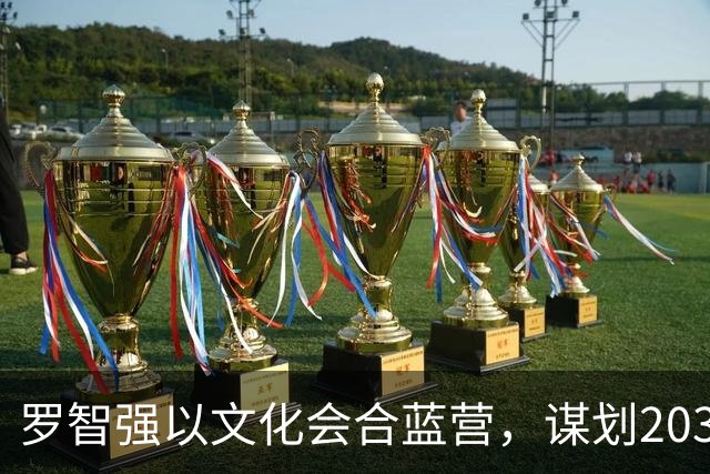 罗智强以文化会合蓝营，谋划2030