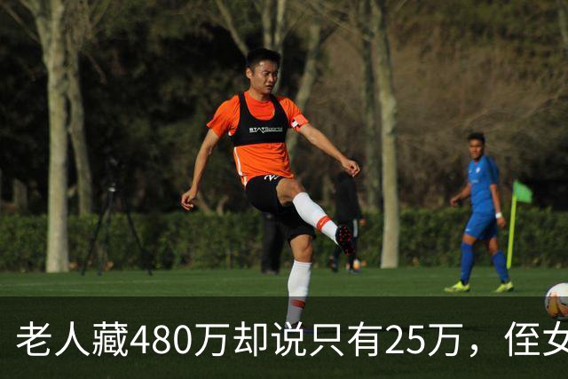 老人藏480万却说只有25万，侄女搬来当起“护工