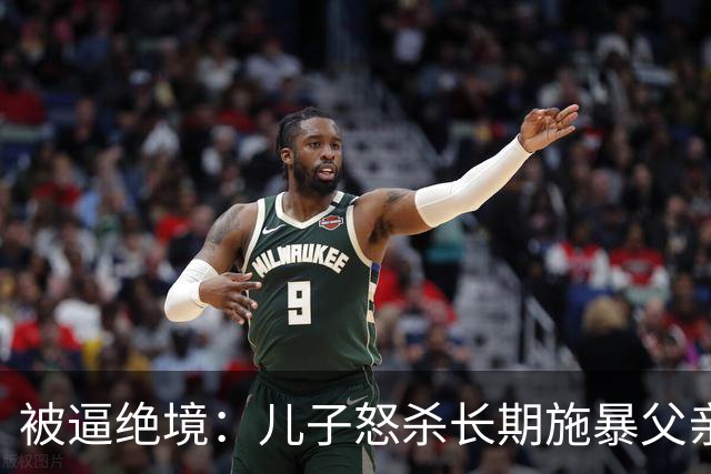 被逼绝境：儿子怒杀长期施暴父亲