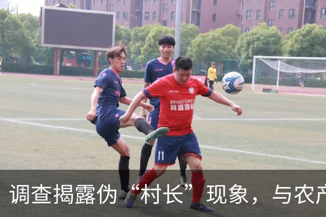 调查揭露伪“村长”现象，与农产品直播带货的黑幕