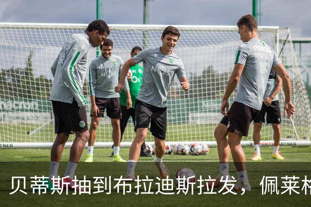 贝蒂斯抽到布拉迪斯拉发，佩莱格里尼将与图雷再度相遇