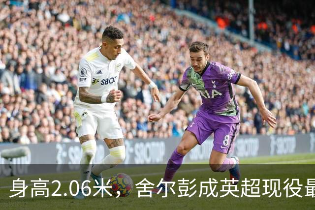身高2.06米，舍尔彭成英超现役最高球员