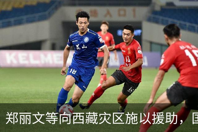 郑丽文等向西藏灾区施以援助，国台办做出回应