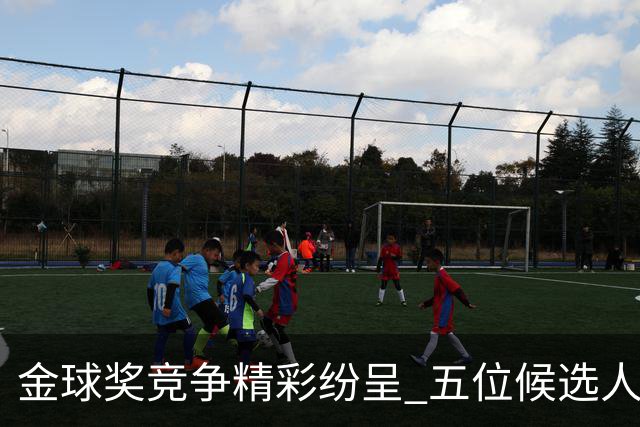 金球奖竞争精彩纷呈 五位候选人已经开始行动