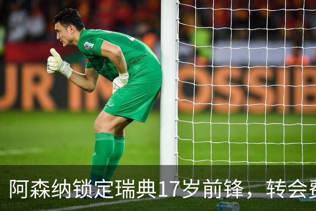 阿森纳锁定瑞典17岁前锋，转会费预计达2500万欧元