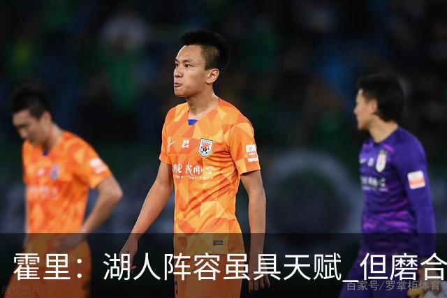 霍里：湖人阵容虽具天赋 但磨合需时