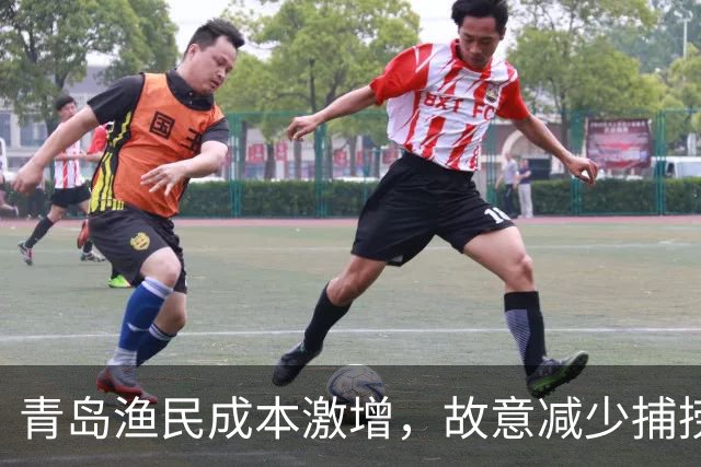 青岛渔民成本激增，故意减少捕捞是否属实？
