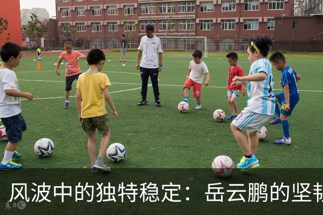 风波中的独特稳定：岳云鹏的坚韧与智慧
