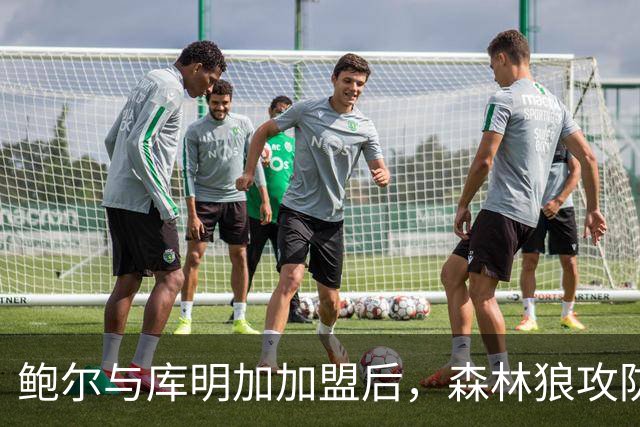 鲍尔与库明加加盟后，森林狼攻防实力更凶猛